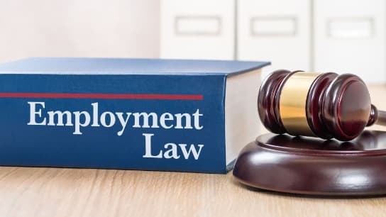 Employment Law 101